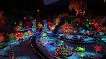 Victoria and Butchart Gardens Christmas Tour
