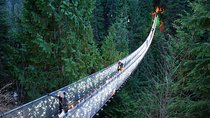 Explore Vancouver City & Capilano Suspension Bridge Canyon Lights