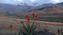 Drakensberg Mountain day Tour into Lesotho from Durban