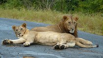 3 Days Durban Safari Tour Package