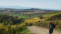 Private Tour: Guided Hike in Tuscany with Transport from Siena