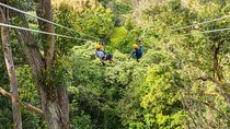 Big Island Kohala Zip and Dip Tour from Kona