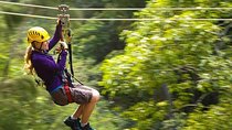 Big Island Kohala Canopy Zipline Adventure