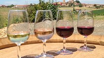 Beaujolais & Perouges Medieval Town (9:00 am to 5:15 pm - Small Group Tour Lyon