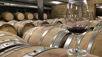 Cotes du Rhone Wine Tour (9:00 am to 5:15 pm) - Small Group Tour from Lyon