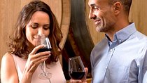 The Original Syrah Wine Tour (2:00 pm - 6:30 pm) - Small Group Tour from Lyon