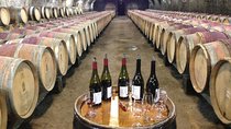 Beaujolais Crus Wines & Castles (2:00 pm - 6:30 pm) - Small Group Tour from Lyon
