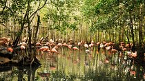 National Aviary private from Cartagena