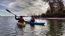 Guided Kayak Tour on Niagara River from the US Side