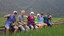 Ninh Binh Day Tour Small Group - Luxury Transfer
