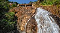 Day Trip to Mollem National Park Including Dudhsagar Falls and Jeep Safari from Goa