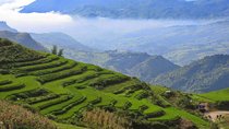 1 day Private tour Sapa trekking Y Linh Ho - Lao Chai - Ta Van (start from Sapa)