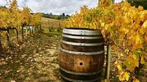 Chianti Wine and Vinci half day Small Group Tour from Lucca