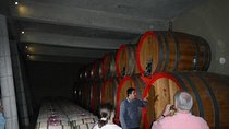 Private Wine Tour in Valparaiso