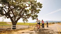 Wine Country Farm to Table Bike Tour w/Lunch