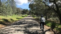 Wine Country Half-Day Bike Tour from Solvang - w/o Lunch