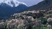 Private Day Trip to the High Atlas Mountains from Marrakech