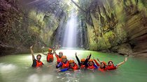 Oslob Whale Shark and Kawasan Falls Canyoneering Day Tour