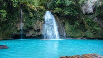 Oslob Whale Shark and Kawasan Falls Day Tour