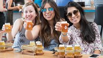 The Brew Bus: Austin Brewery Tour with Live Band