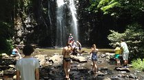 Private Tour: Tropical Rainforest and Waterfalls Day Trip from Cairns