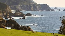 Carmel, Monterey and Big Sur Tour Private Tour from San Francisco