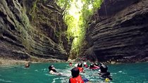 Cebu Whale Shark Interaction, Moalboal Sea Turtles, Sardines Run & Canyoneering