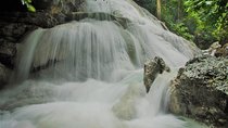 Oslob Whaleshark with Aguinid Waterfalls