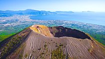 Skip-the-lines private tour of Ancient Herculaneum and Volcano Vesuvius with local guide and driver