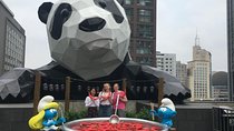 Chengdu Private Tour of Panda Experience