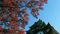 Private Full Day Nagoya Tour