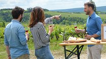 Chablis and Burgundy Wine Tour Run by Sommelier with Lunch