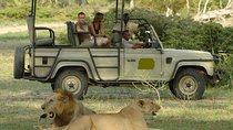 5Days Tanzania Camping Safari to Lake Manyara Serengeti And Ngorongoro Crater from Arusha