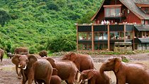 Private 5 Day Aberdare Lake Nakuru and Masai Mara Safari from Nairobi