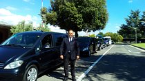Transfer Fiumicino FCO Airport to/from Forte dei Marmi optional Orbetello Stop