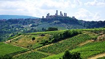 San Gimignano and Chianti Classico Wine and Food PRIVATE TOUR from SIENA