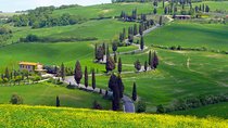 Pienza, Montalcino, Brunello Wine and Pecorino Cheese PRIVATE TOUR from FLORENCE