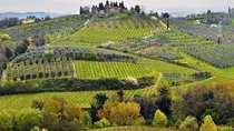Private Tour Tastes of Tuscany: Pisa, Siena and Chianti