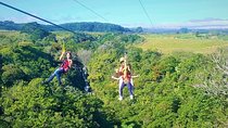 Botanical World 8-Zipline & Suspension Bridge Waterfall Adventure