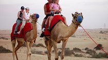 Abu Dhabi Morning Desert safari with Camel ride & Sand boarding