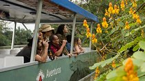 Day Trip to Caño Negro Including Río Frio Boat Experience from La Fortuna