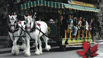 Stanley Park Horse Drawn Tour in Vancouver