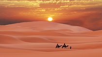 2-Day Desert Tour to Zagora from Marrakech