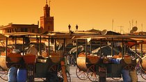 Private Tour: Half-Day Sightseeing Tour of Marrakech