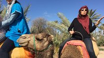 Camel Ride Tour in the Palm Grove of Marrakech