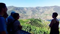 Small Group Douro Wine Valley Tour with Lunch and Wine Tasting