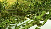 Bali Shore Excursion : Customize Private Full day Tours