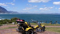 Hermanus and Whale Route Trike Tour from Cape Town