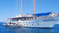 Fijian Islands and Snorkel Full-Day Whales Tale Cruise including Beach BBQ Lunch