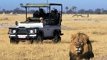 2-Day Camping Safari in Chobe National Park from Victoria Falls